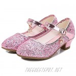 Stunner Girls Wedding Party Heels Dress Shoes Sparkly Mary Jane Princess Shoes(Toddler/Little Kid/Big Kid)