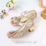 YING LAN Girls Cosplay Dress Wedding Party Shoes Glitter Sequins Low Heel Mary Jane Princess Shoes