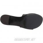 Giuseppe Zanotti Women's E800193 Slide Sandal