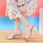 Women's Square Open Toe Slide Sandals Mules Transparent Strap Clear Block High Heel Slip On Backless Slippers